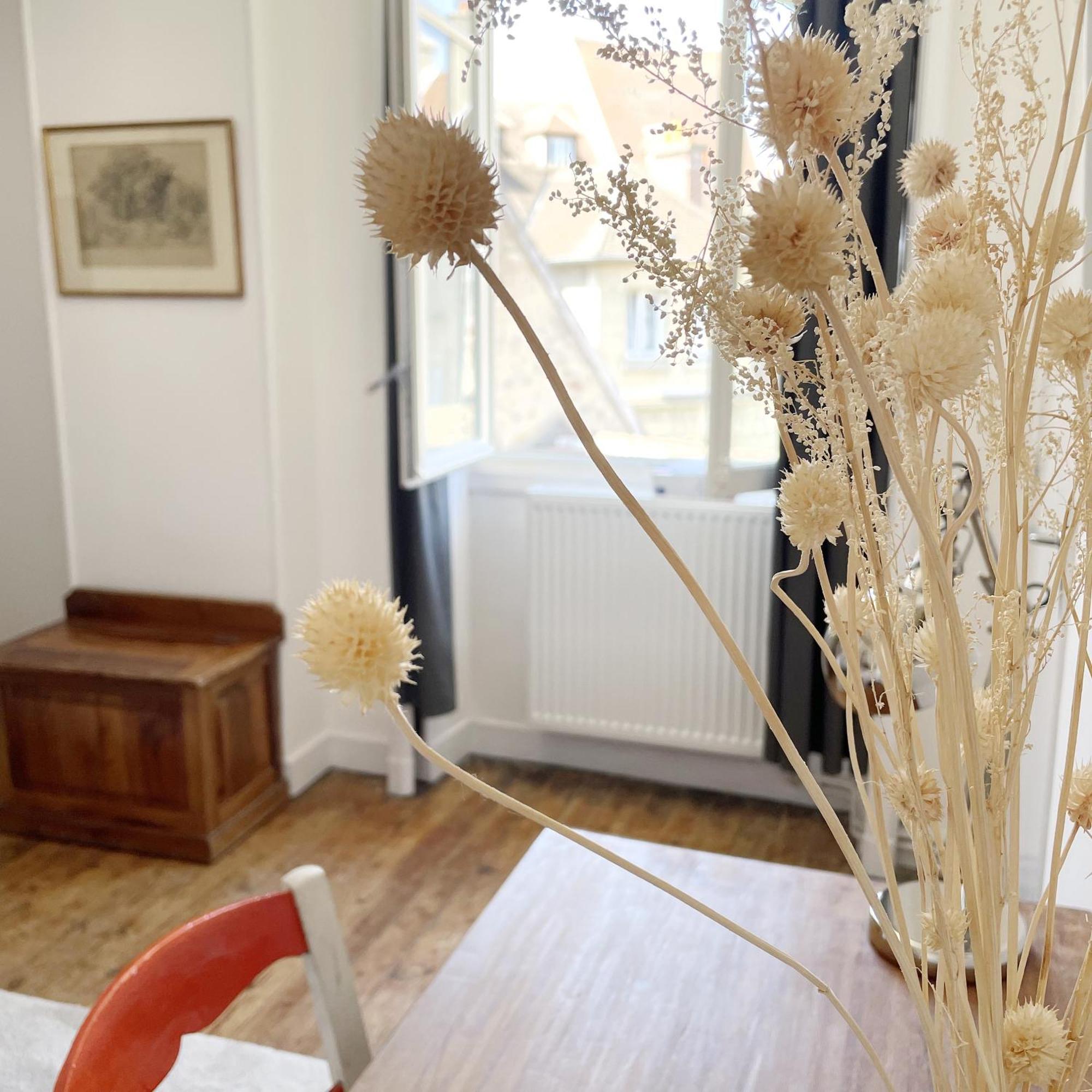 Appartements 4 Vents By La Boite En Plus 상리스 외부 사진
